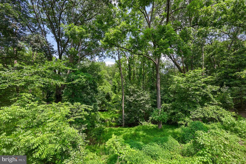 35 LOCUST CIRCLE