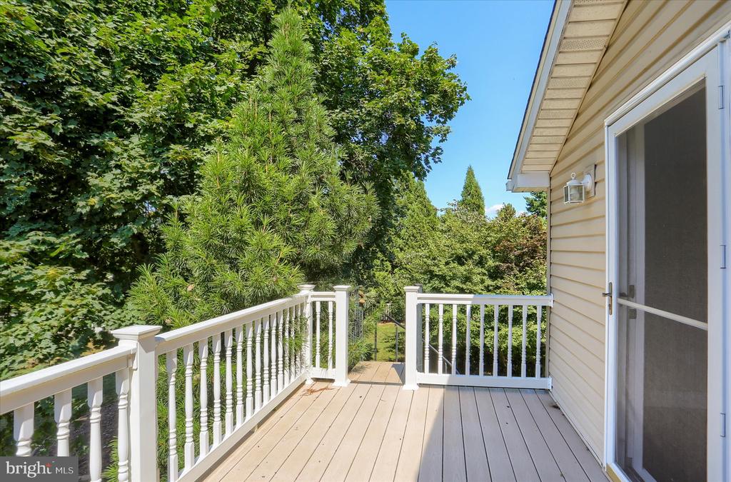 100 Wedgewood Cir