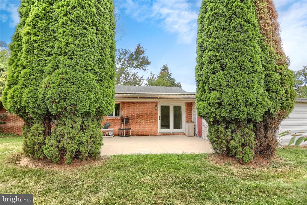 204 ORCHARD ROAD