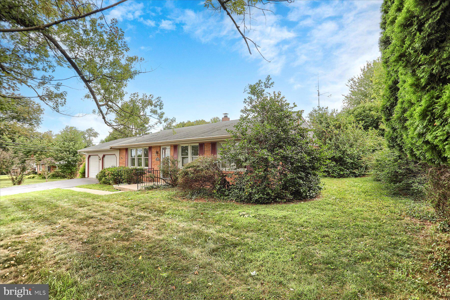 204 ORCHARD ROAD