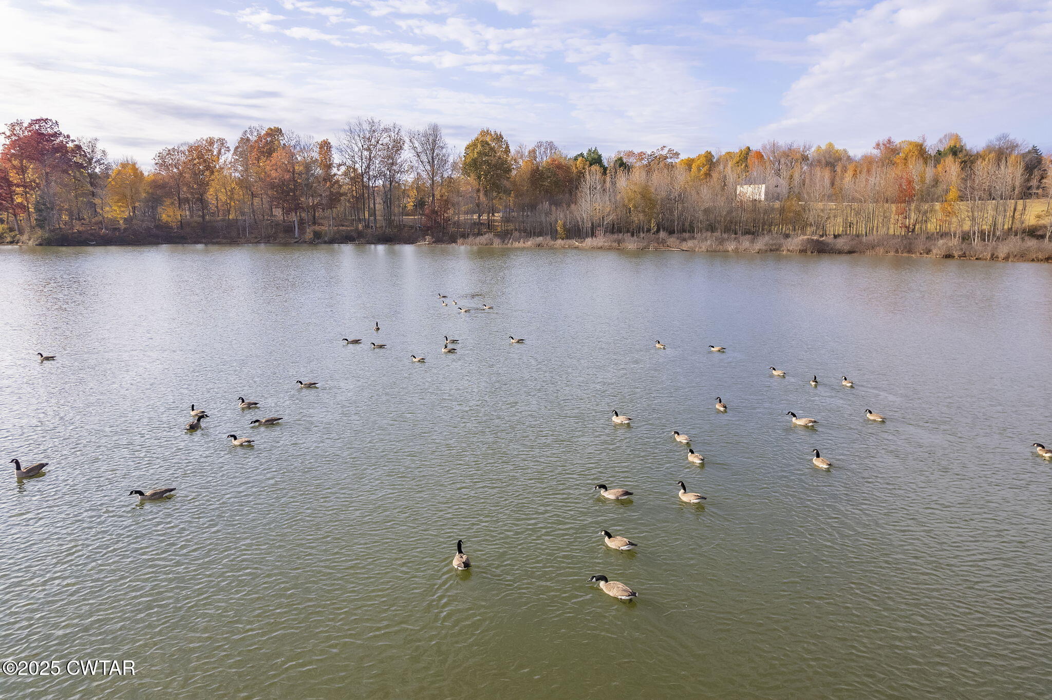 183 R (Lot 4) Vaughns Grove Road