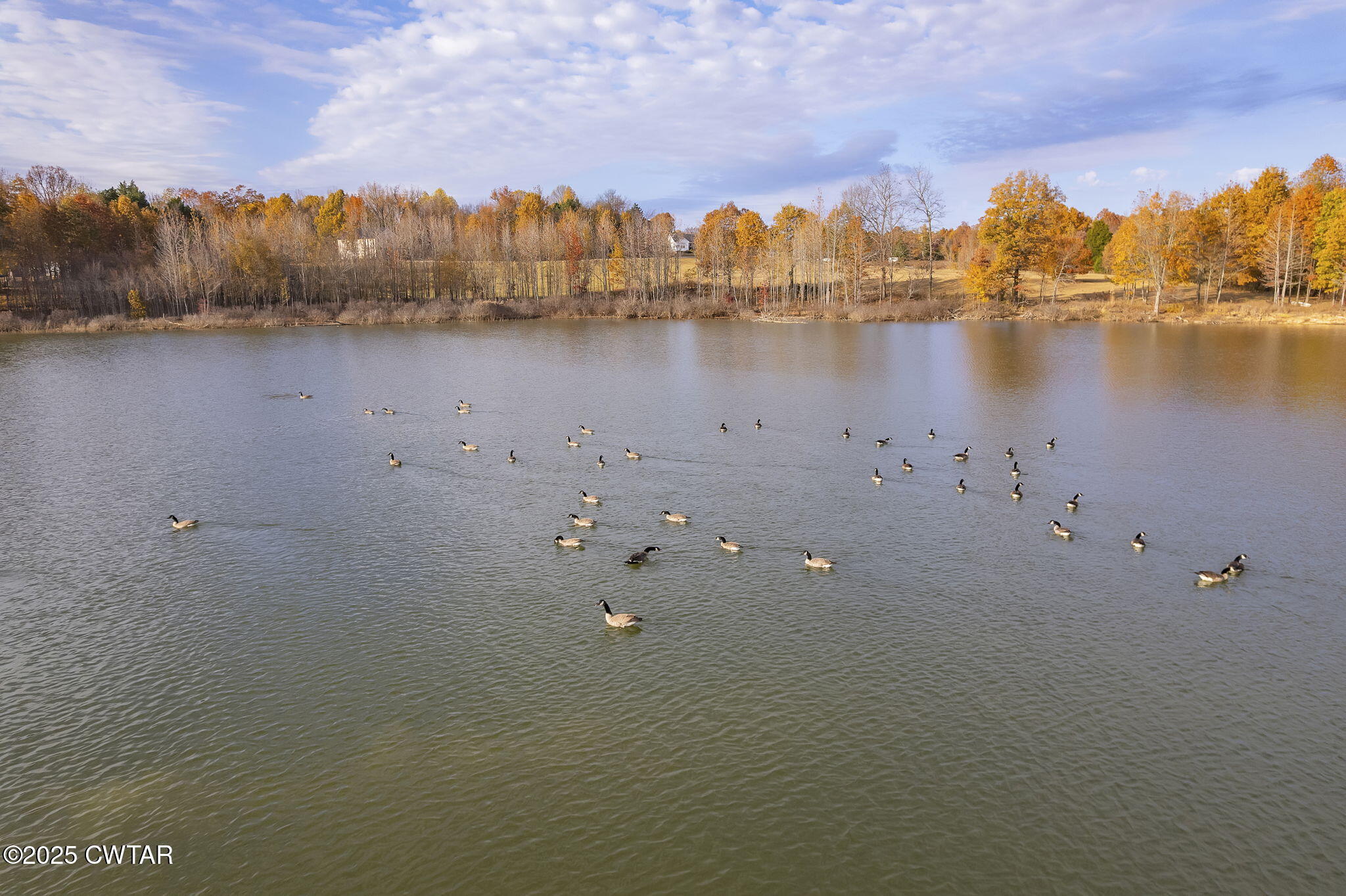 183 R (Lot 4) Vaughns Grove Road