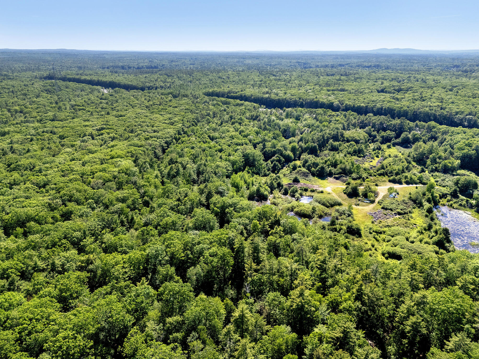 Aerial view of dense woodland with a clearing, winding road, and small water features.