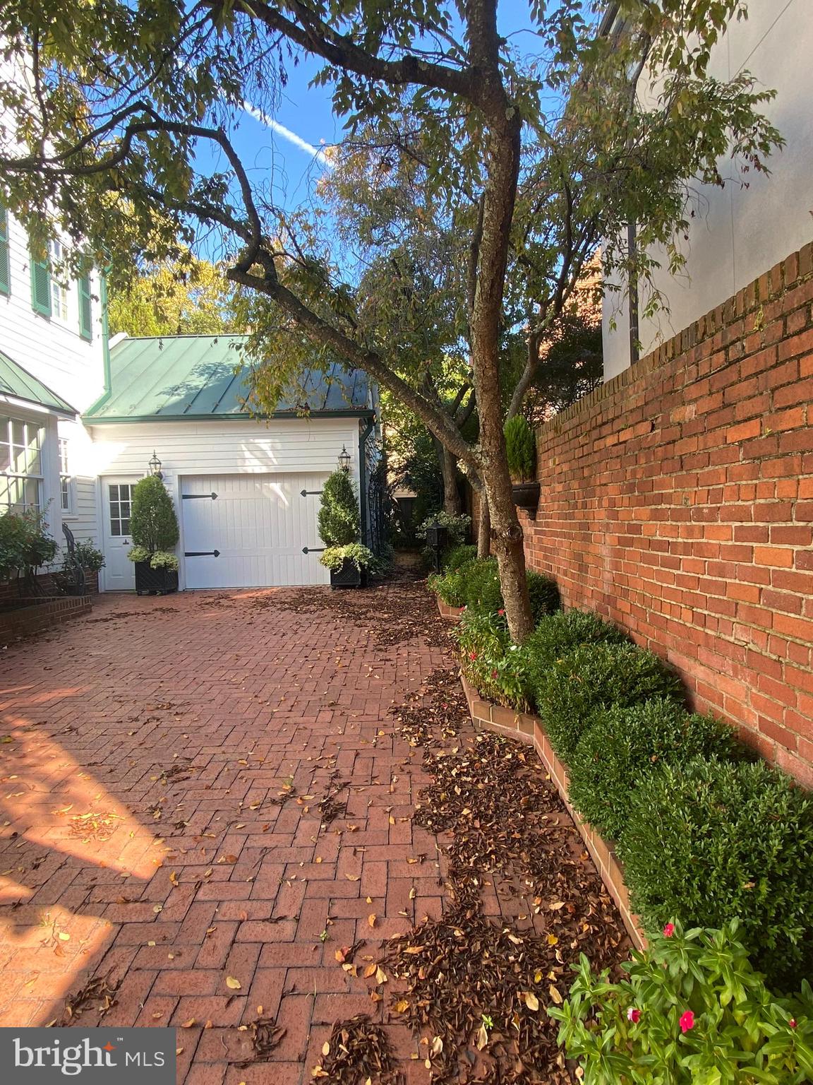 119 Wolfe STREET