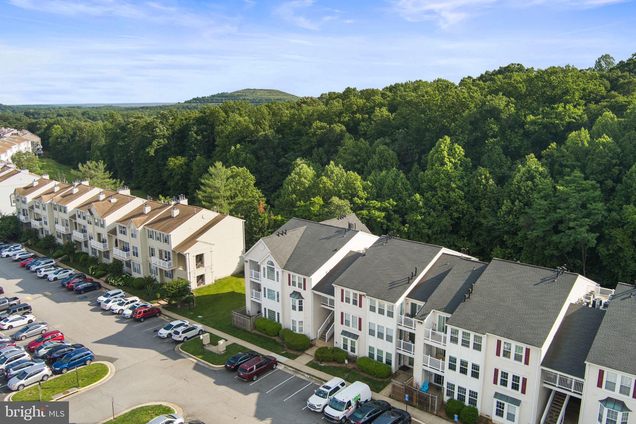 9224 Cardinal Forest Ln #G