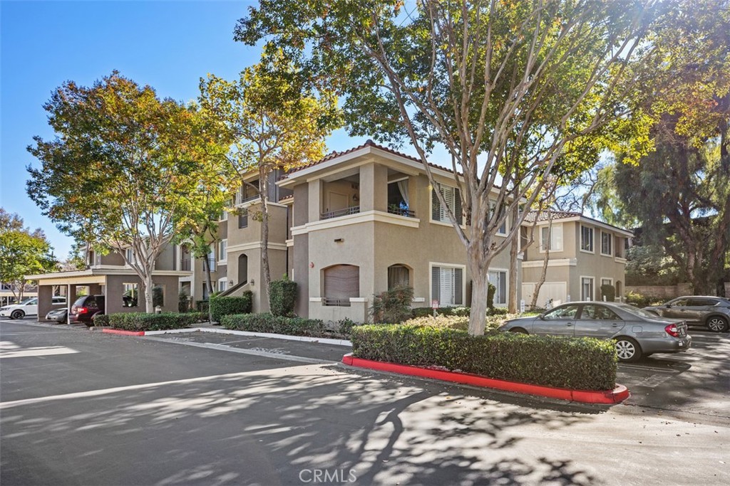 22681 Oakgrove 613