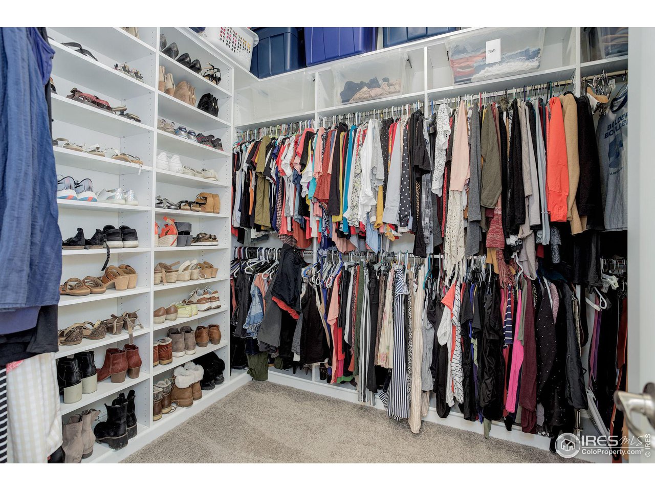 8234 Moss Cir Arvada