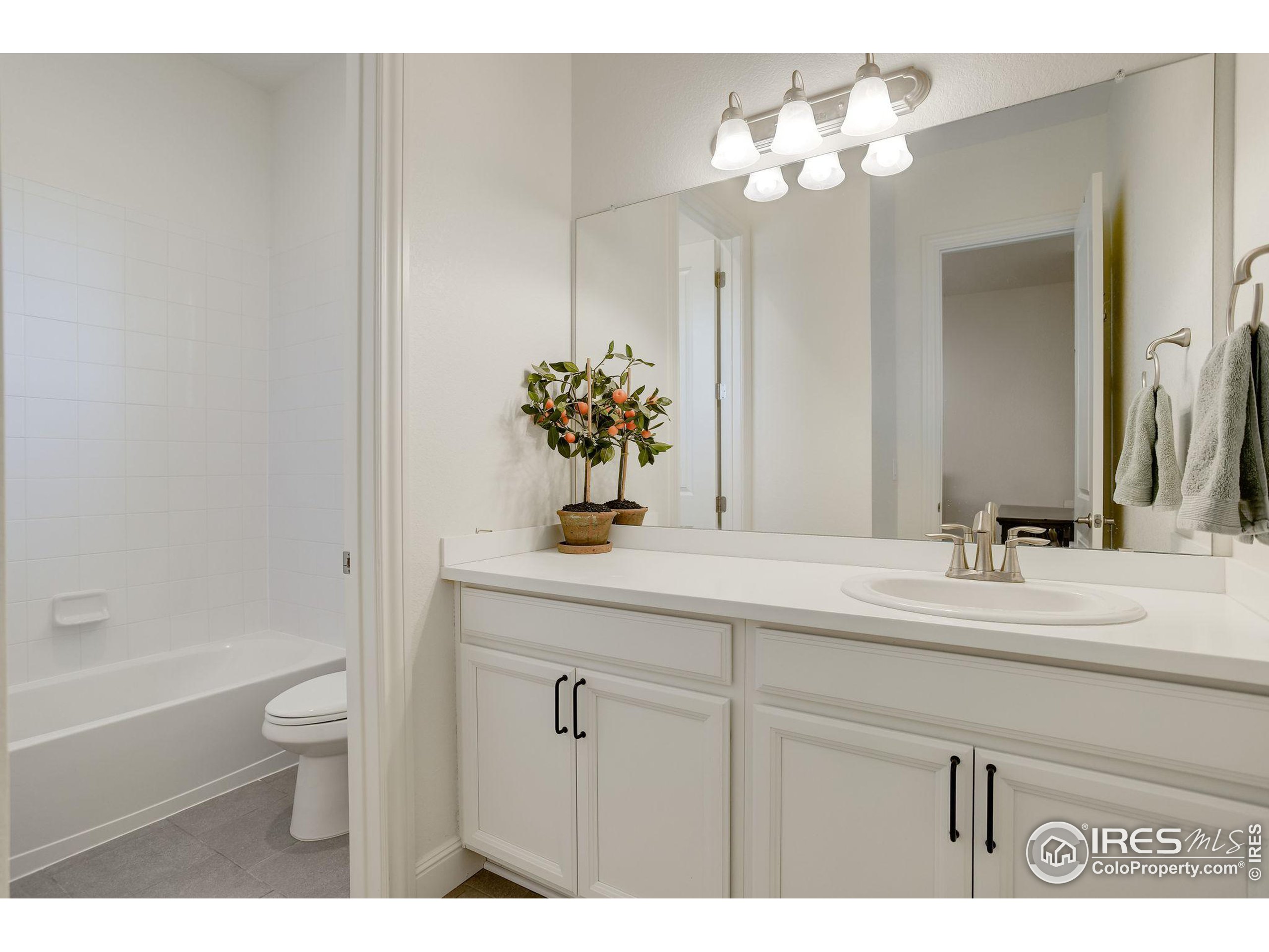 8234 Moss Cir Arvada