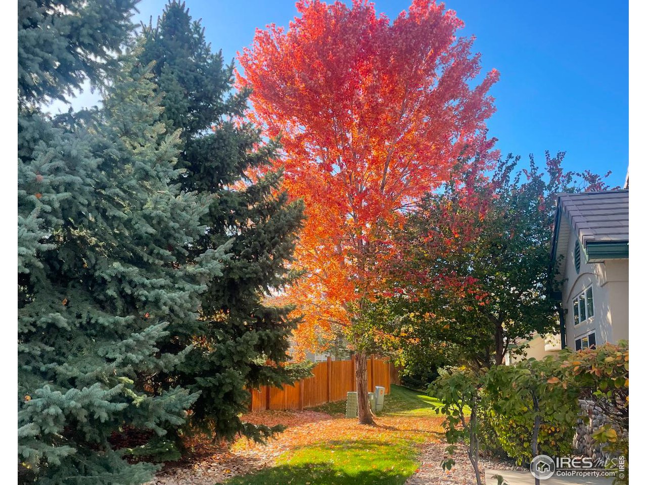 10710 Eliot Cir 101 Westminster Unit: 101