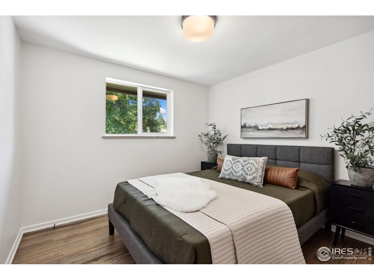 1232 Lincoln St Longmont