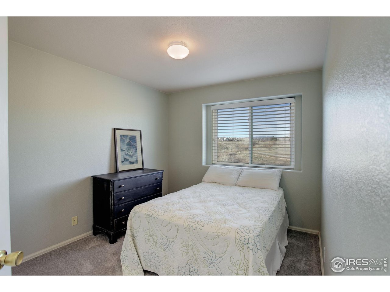 1978 E 102nd Cir Thornton