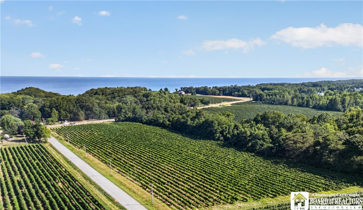 Aerial view of vineyard rows beside a rural road, with wooded shoreline and water beyond.