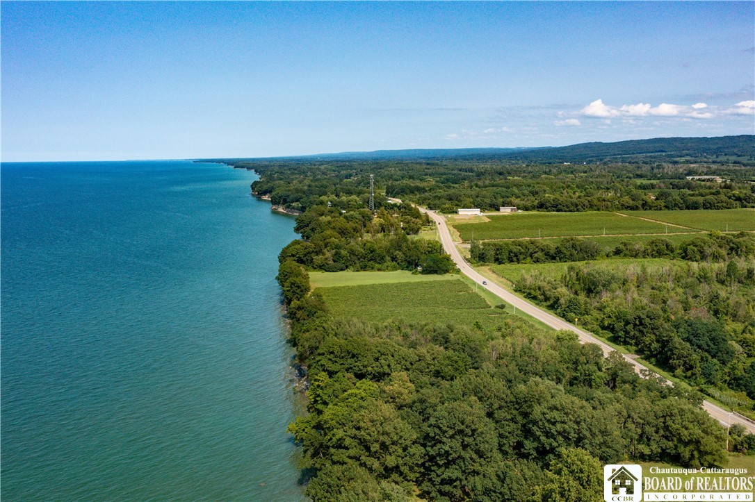 Aerial view of a wooded lake shoreline, with a road and green fields inland.