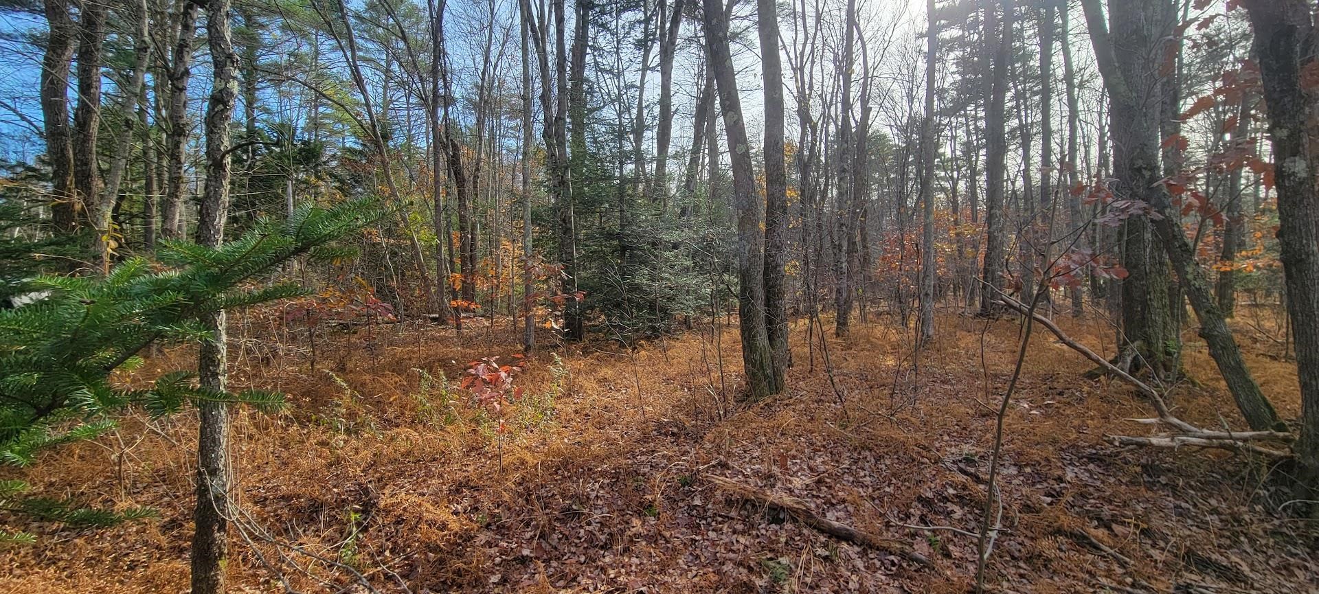 266 Berry River Road Unit: map 102 lot 53-0002