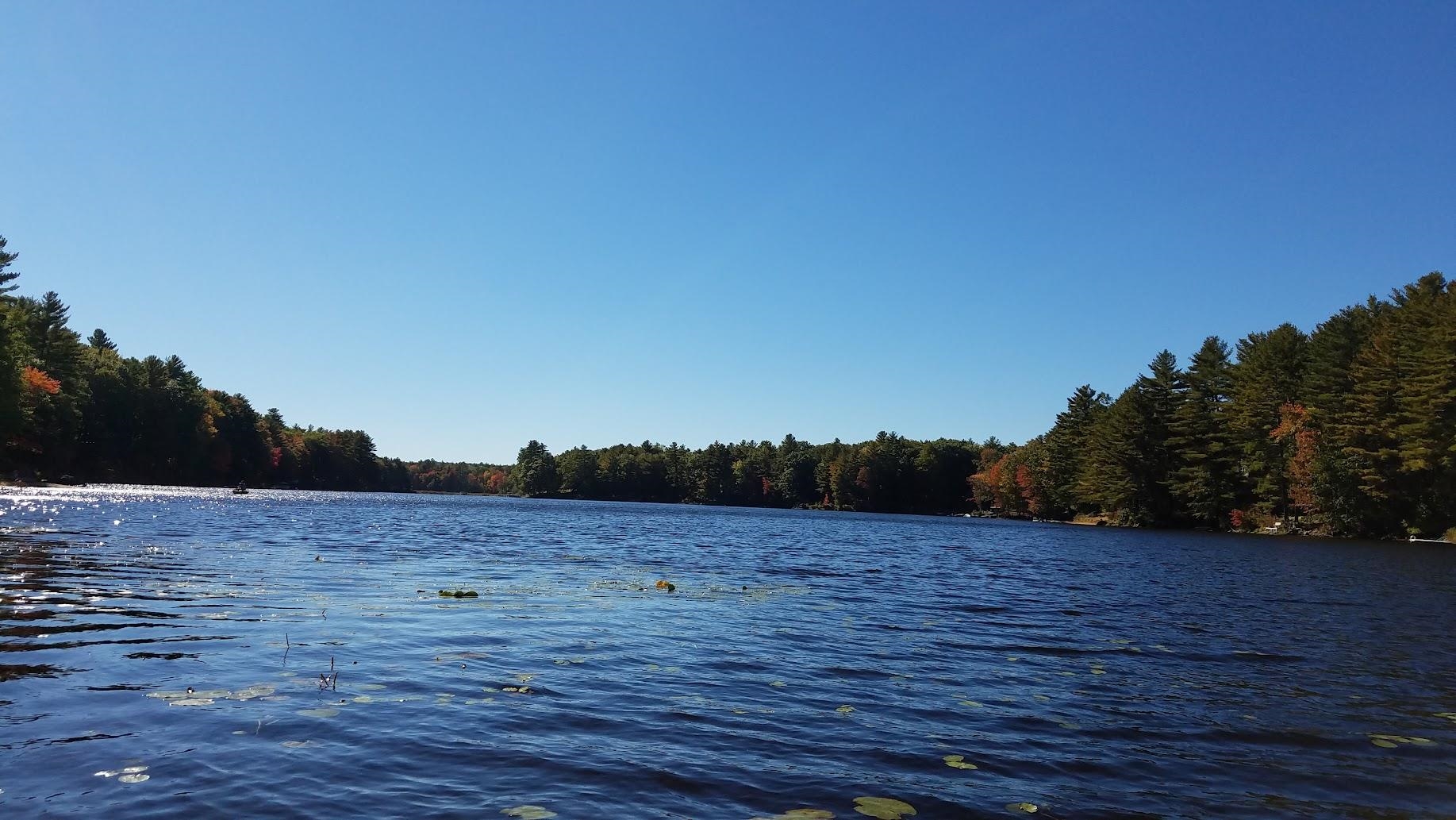 Map 101 Lot 18 Berry River Road