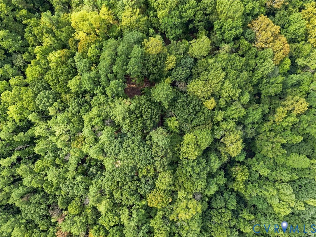 Aerial view of densely wooded land with a small clearing among the trees.