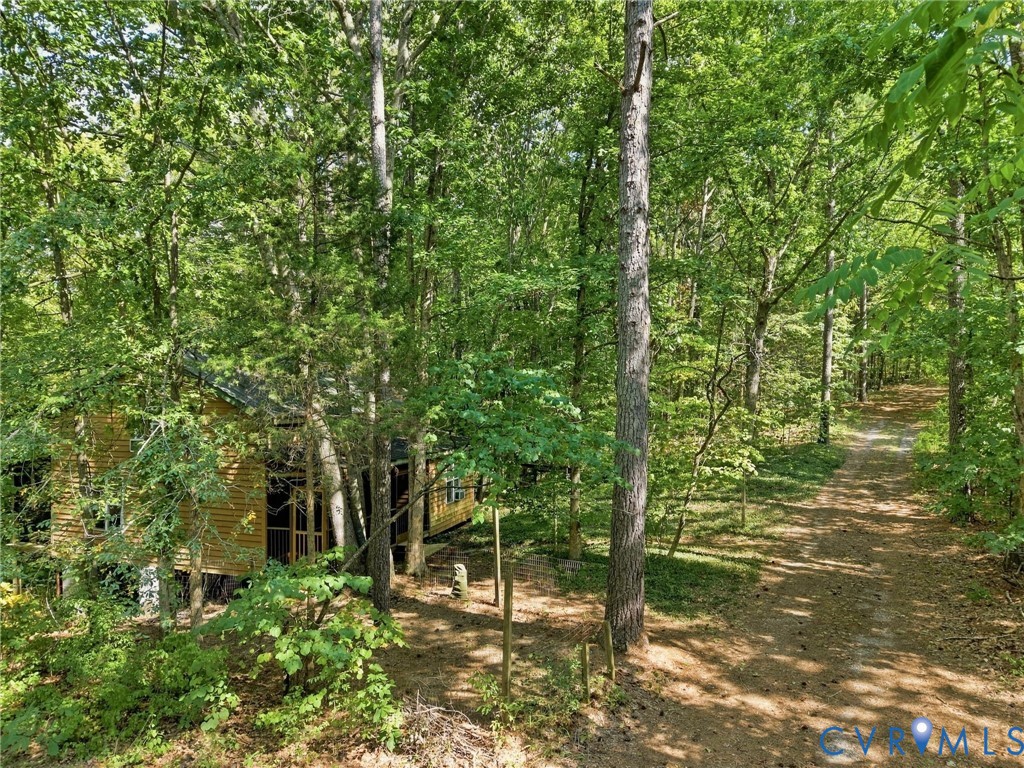 Yellow-sided house partly hidden among trees beside a dirt driveway.