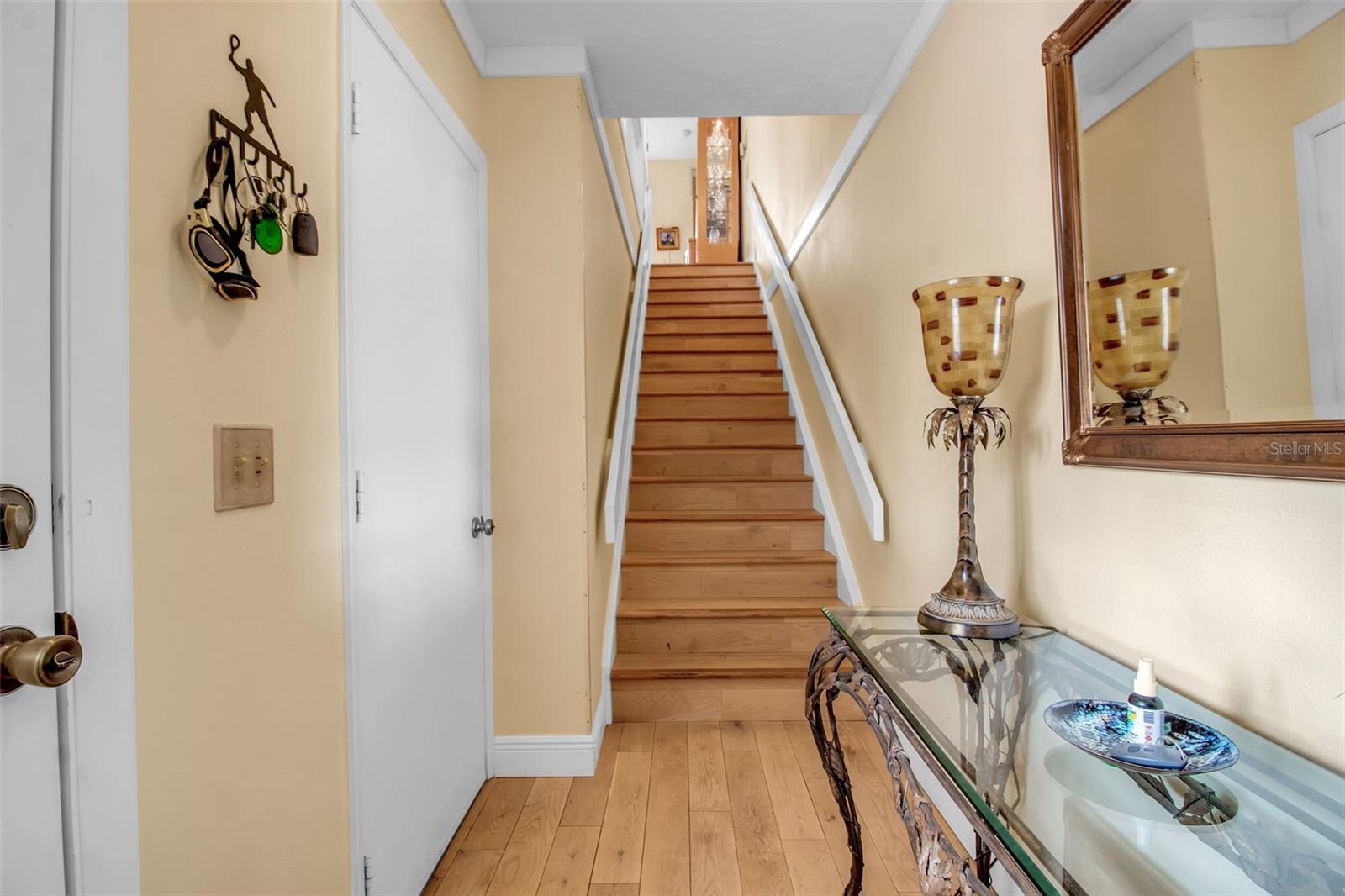 613 CEDARS CT