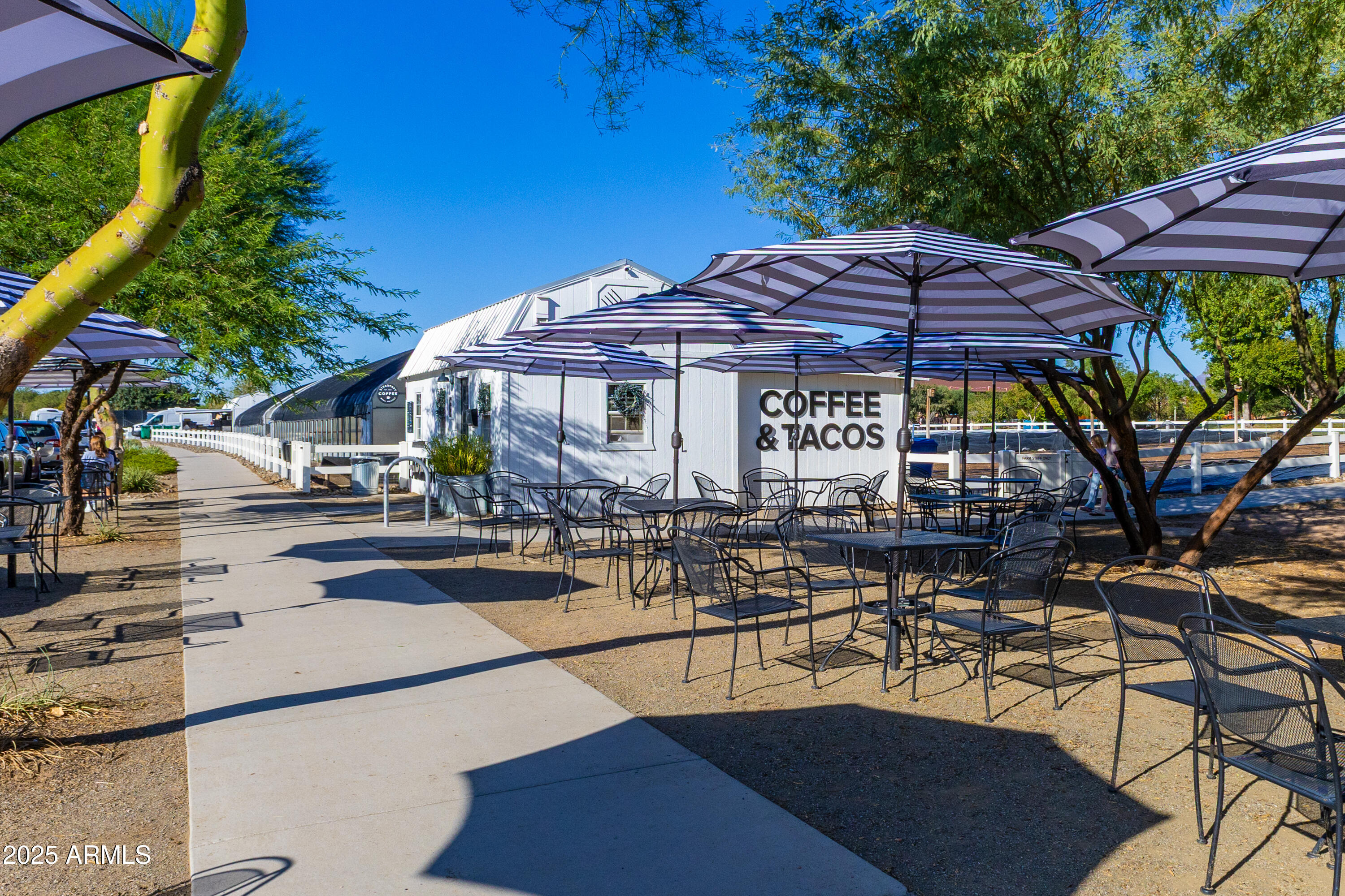 10028 E THUNDERBOLT Avenue