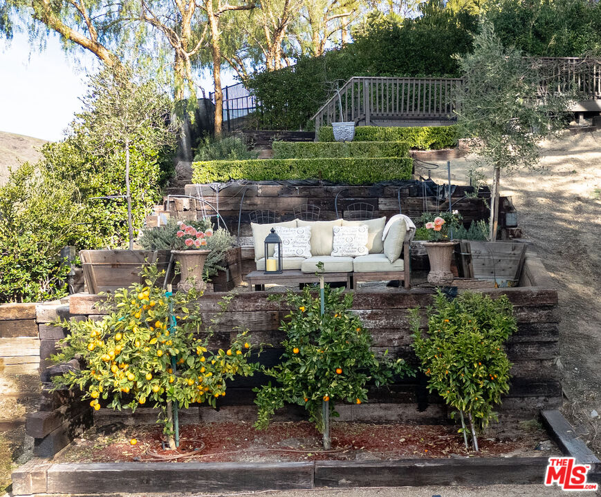 24822 Wooded Vista
