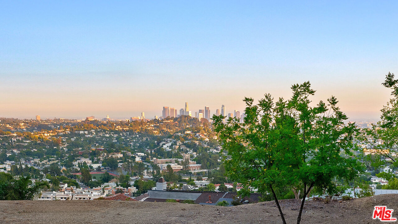 Top of the Park