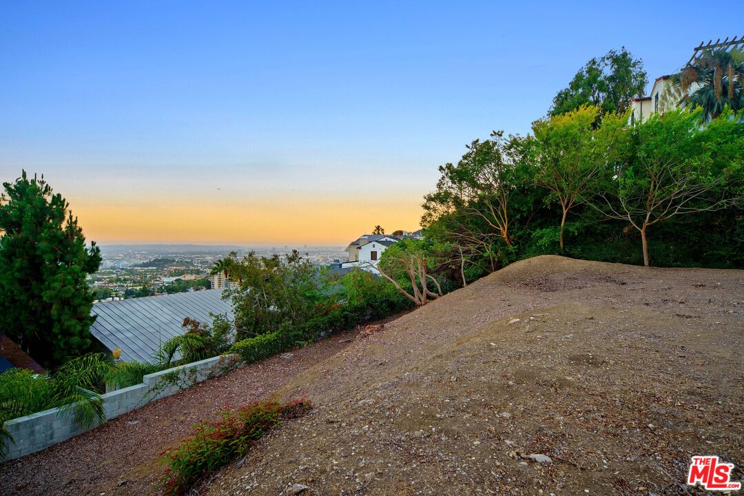 Top of the Park