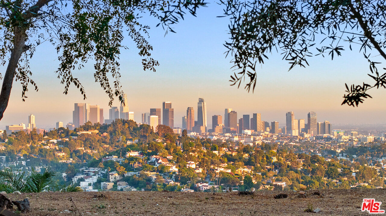 Top of the Park