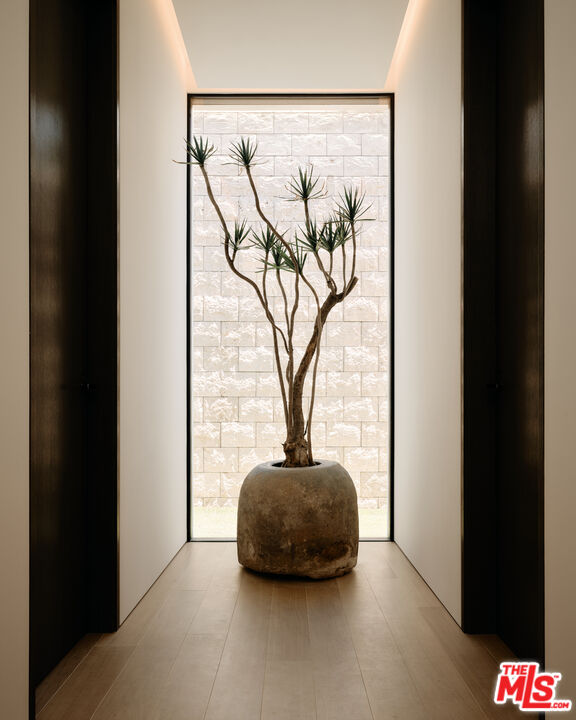 Exquisite Design in the Bird Streets