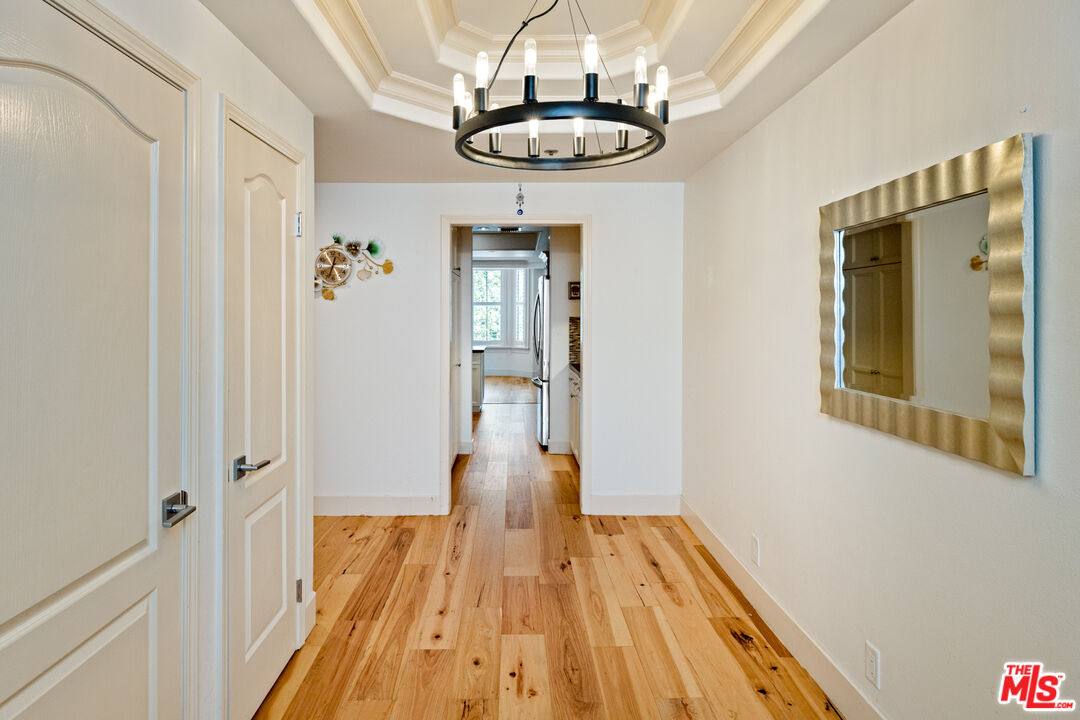 spacious and light-filled