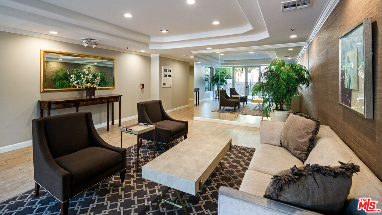 spacious and light-filled