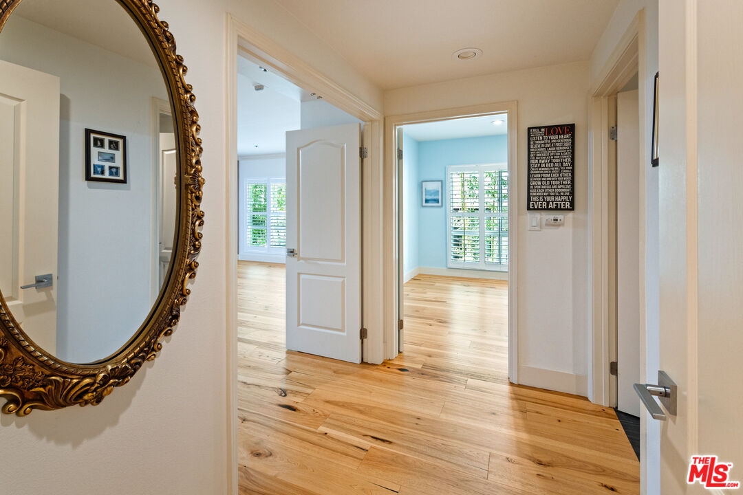 spacious and light-filled