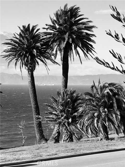 1704 Paseo Del Mar