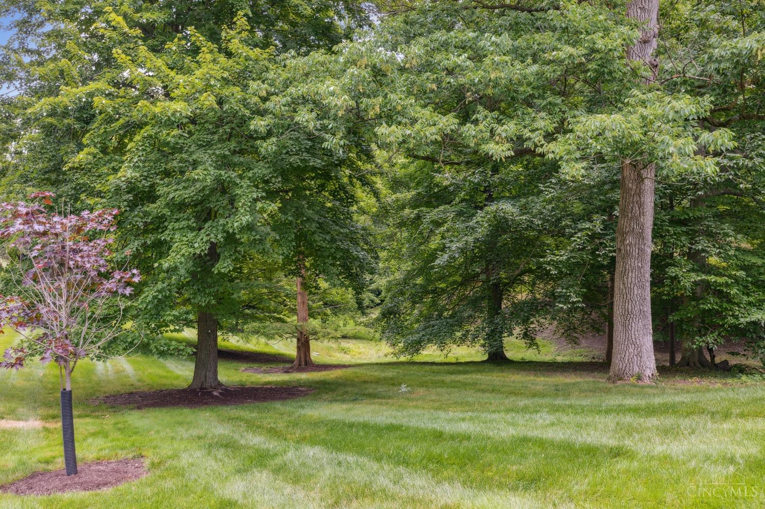 2444 Madison Road 1007