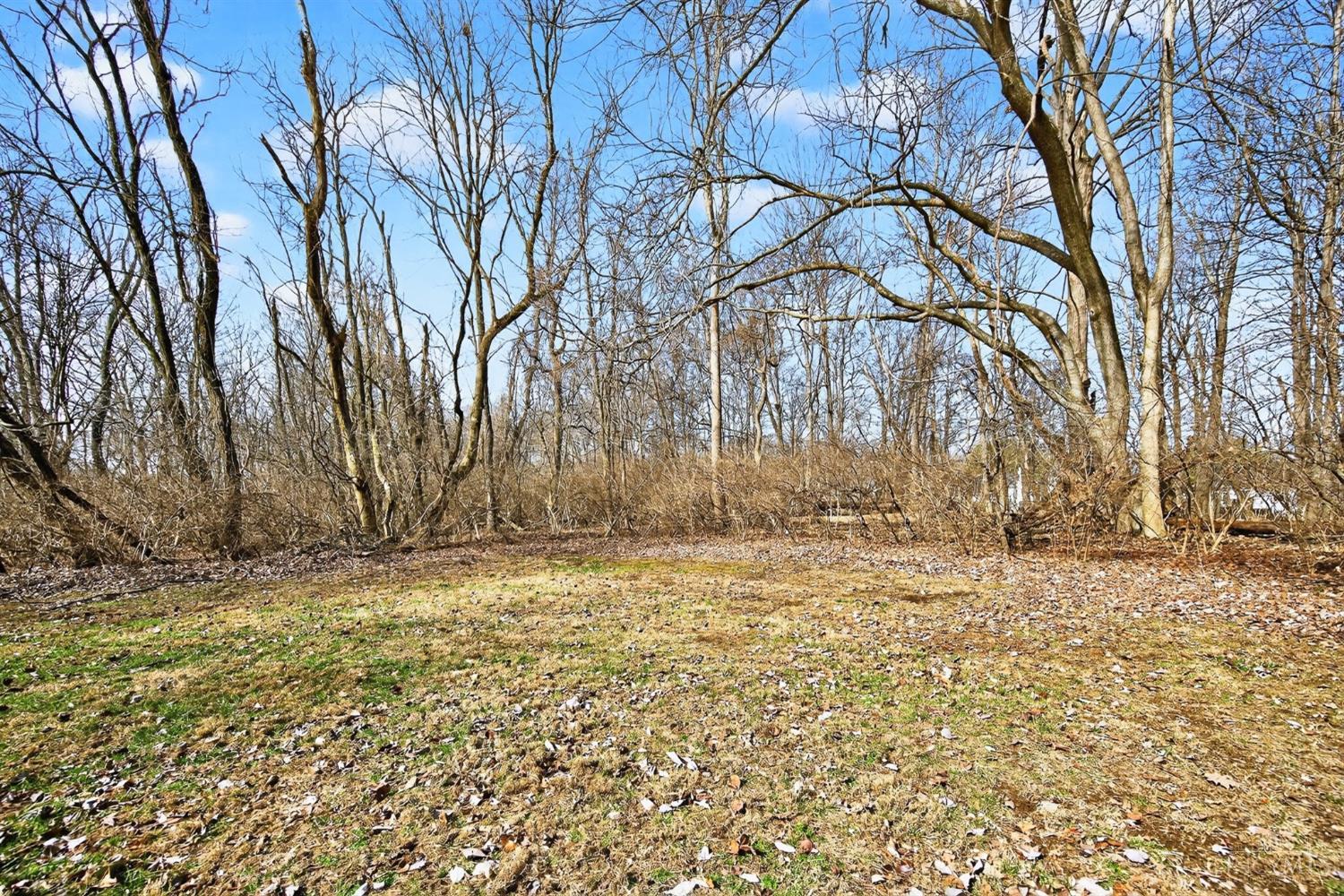 1013 Wittshire Lane 89