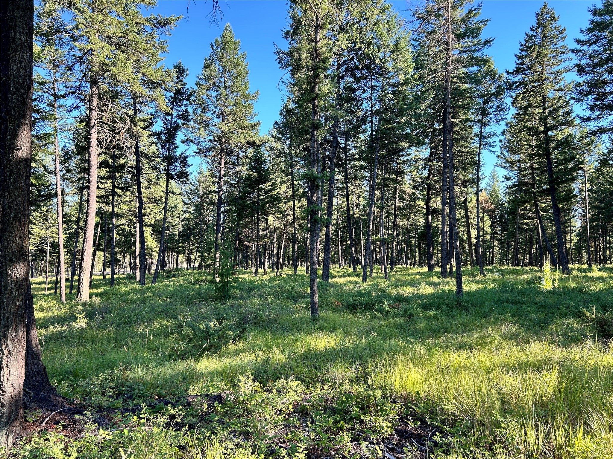 5150 Us Highway 93