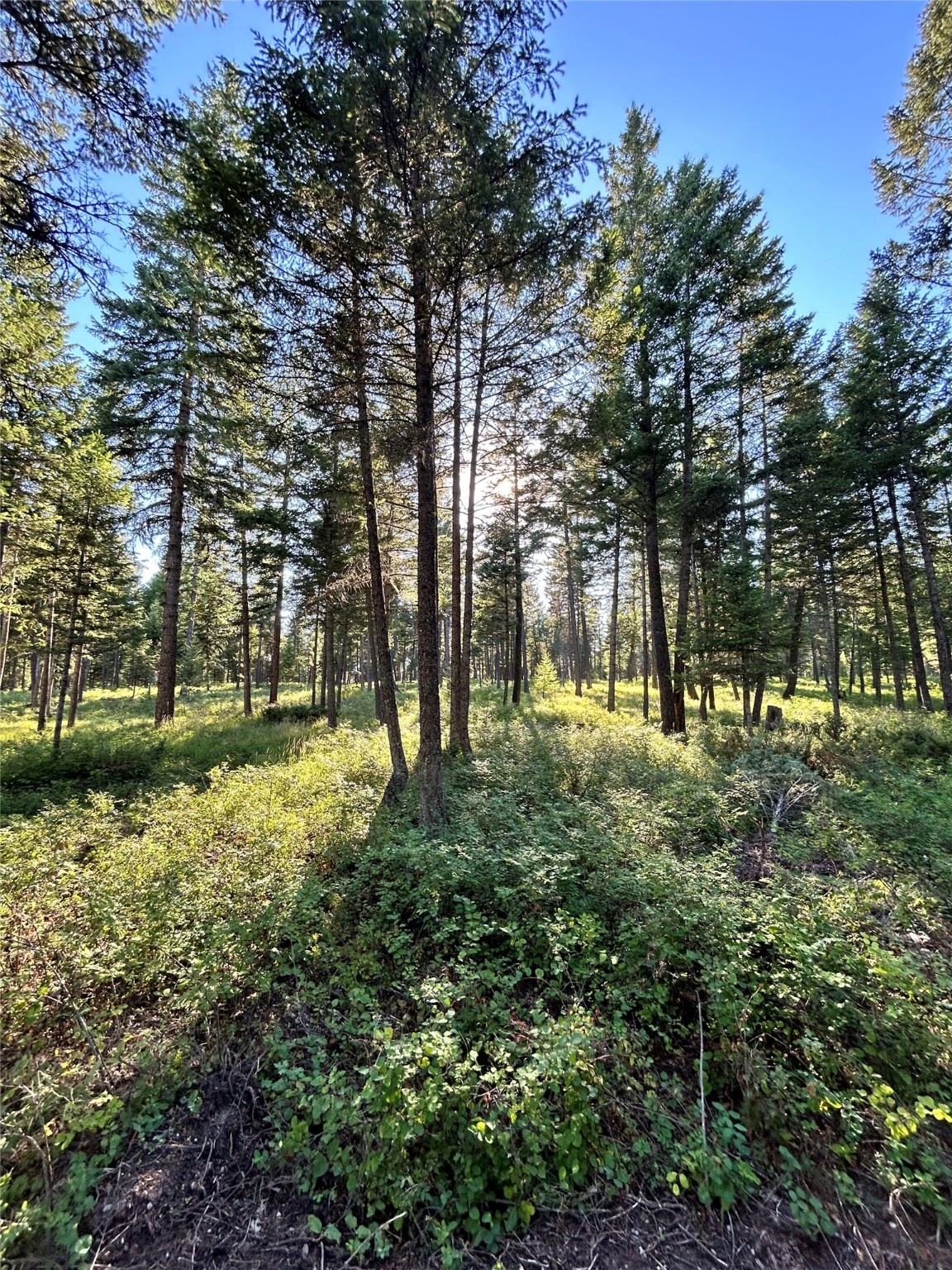 5150 Us Highway 93