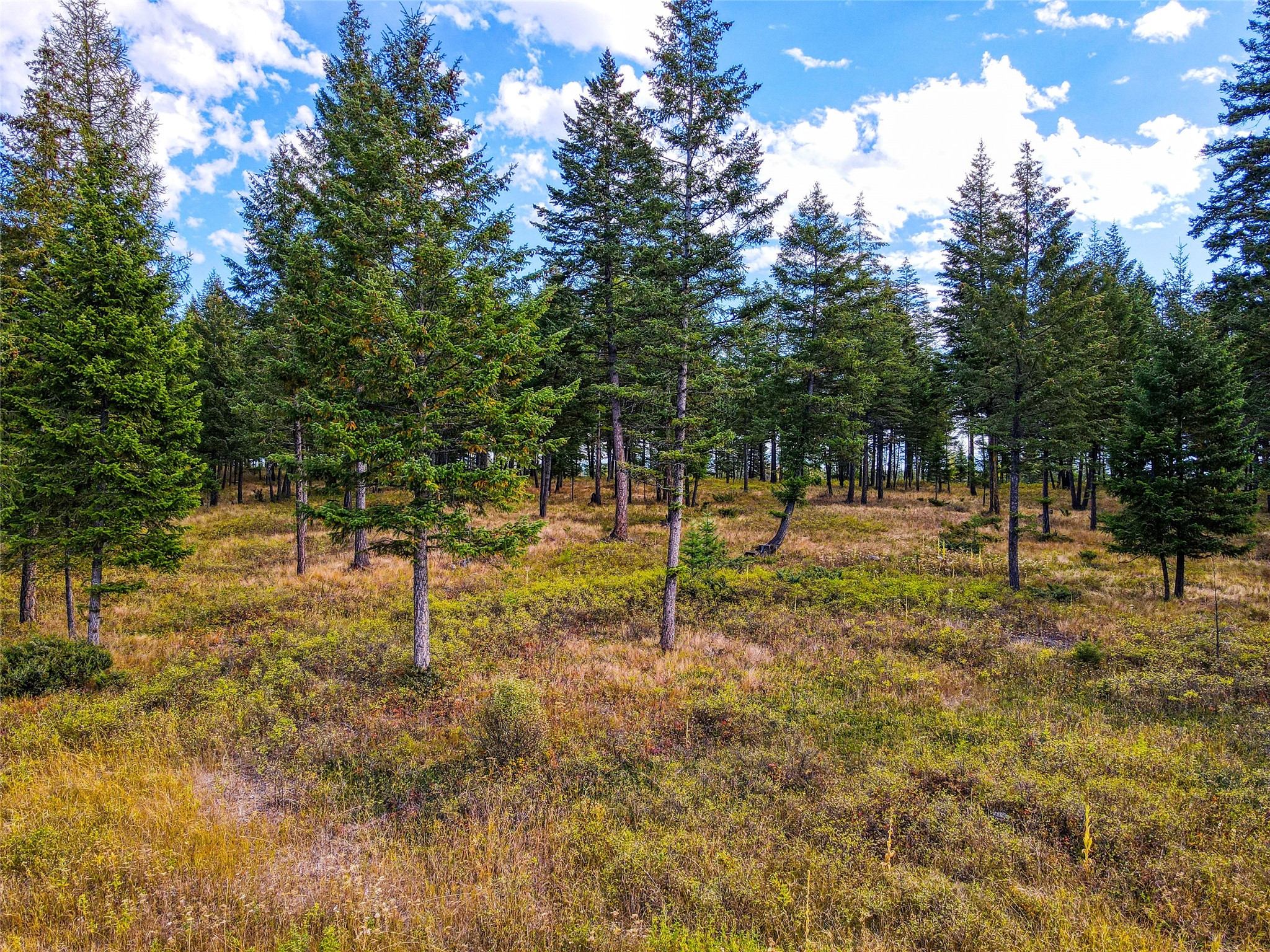 TBD Eagle Run Drive Lot #1