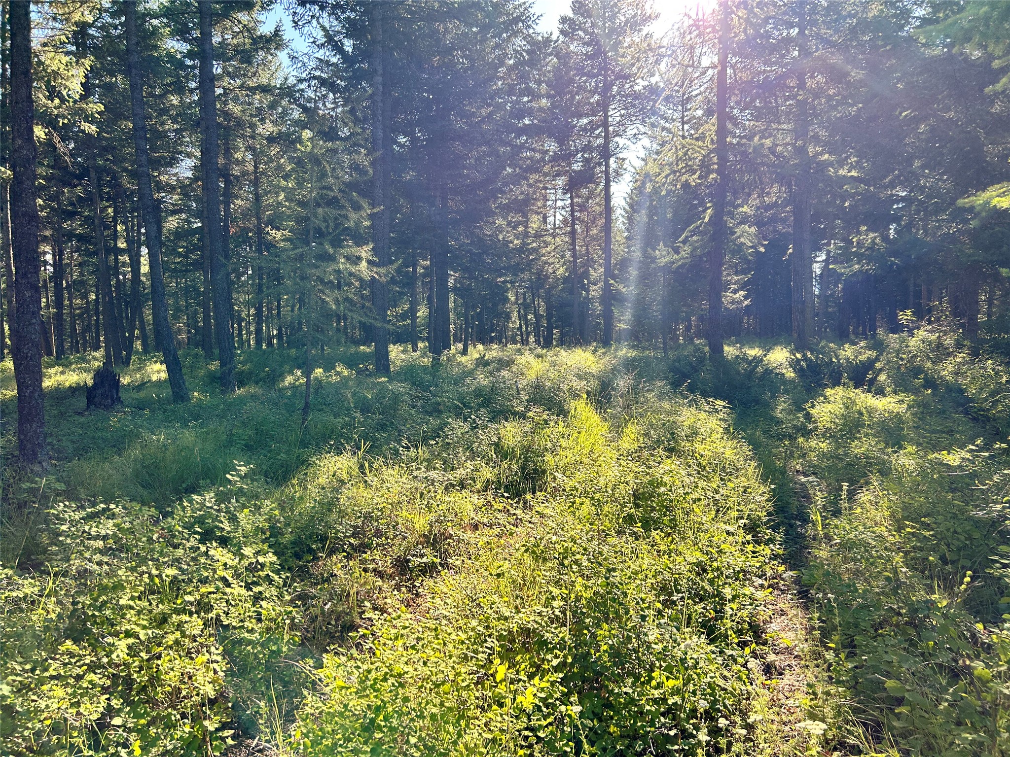 TBD Eagle Run Drive Lot #1