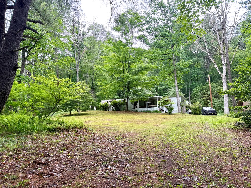 174 Cottonwood Lane