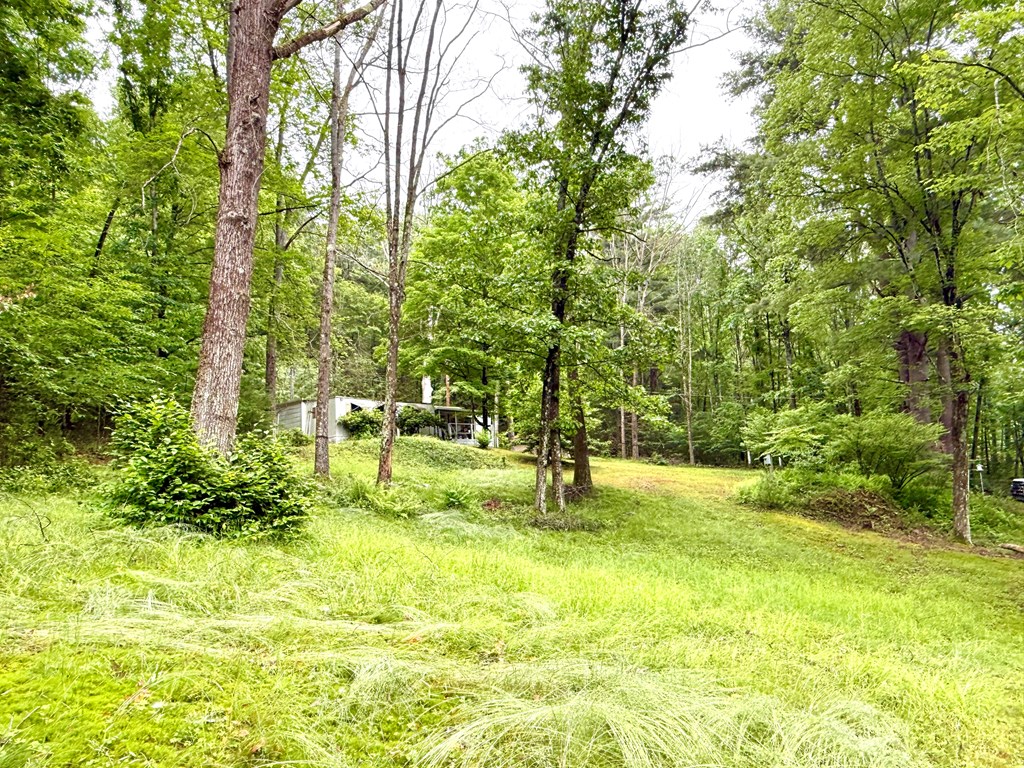 174 Cottonwood Lane