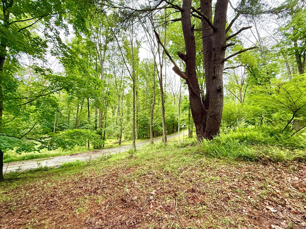 174 Cottonwood Lane