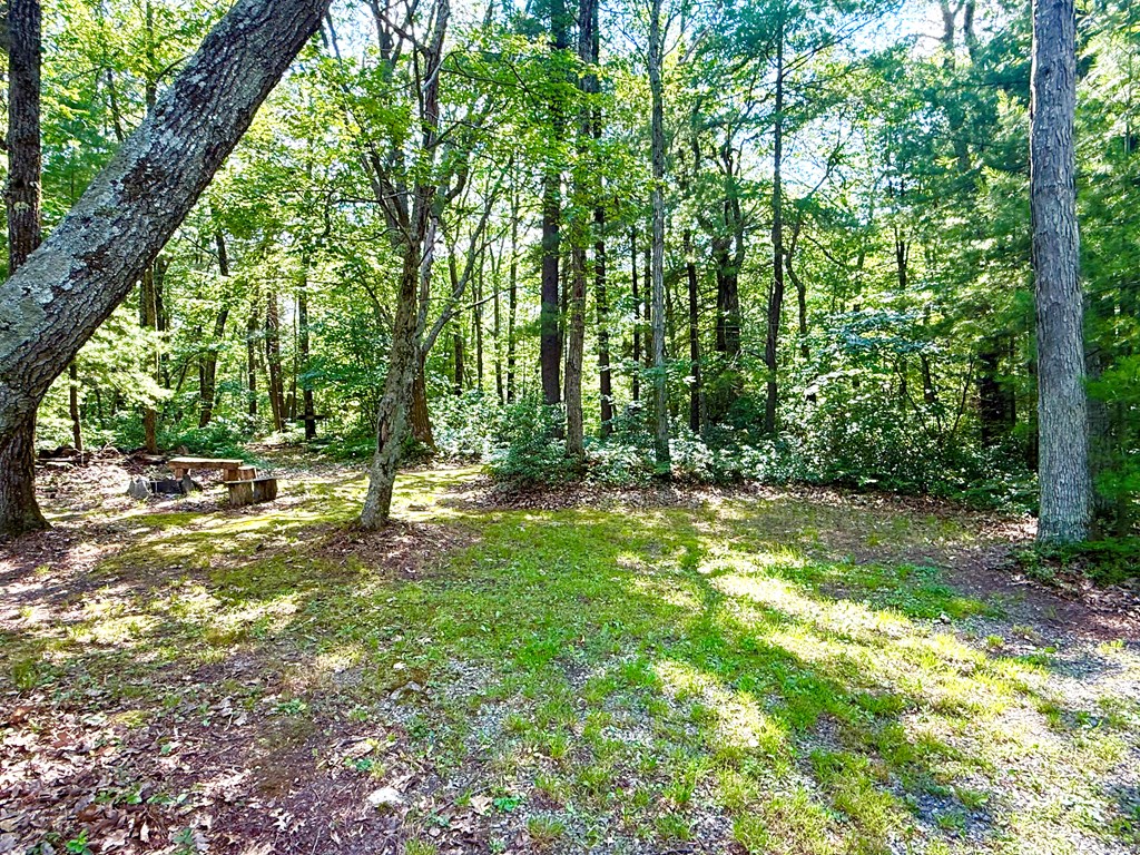 36 Matson Trail