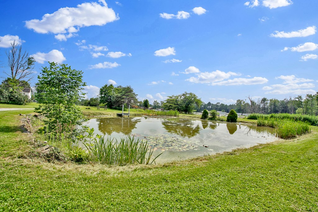 1177 Bloss Mountain Road