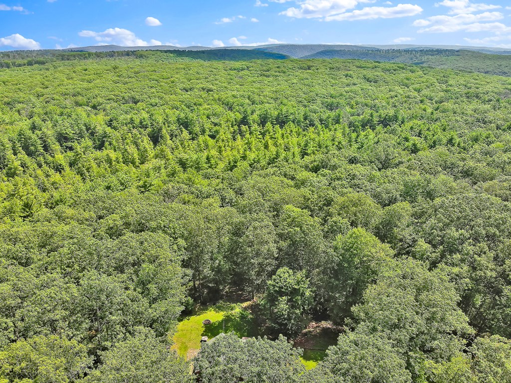 300 Laurel Crest Road