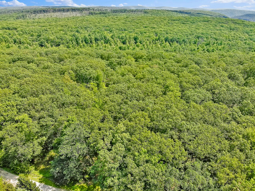 300 Laurel Crest Road