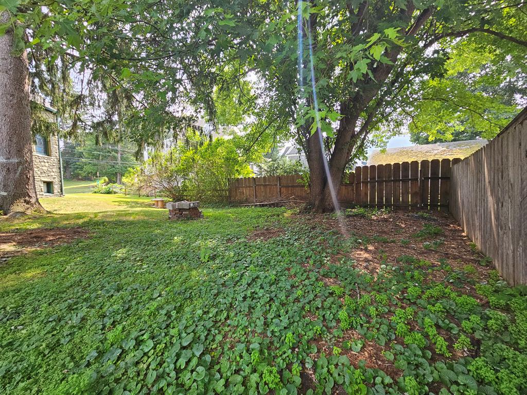 Fenced backyard with mature shade trees, leafy groundcover, and a small stone fire pit.