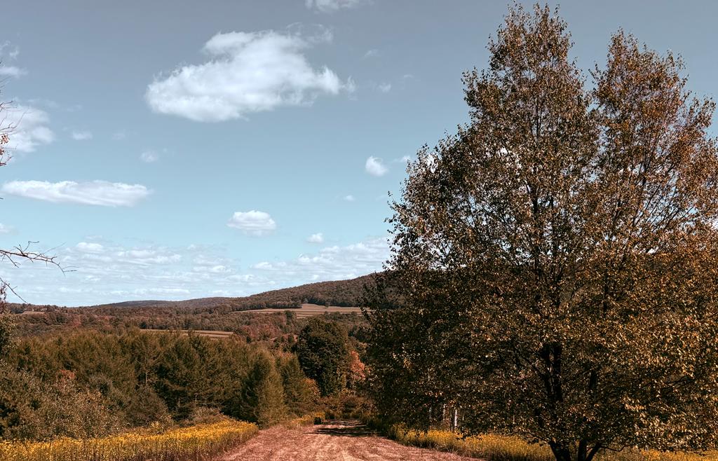 0 Broughton Hollow Rd
