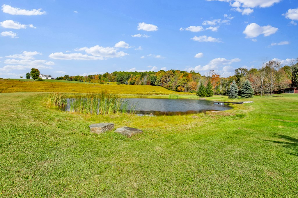 2449 Bailey Creek Road