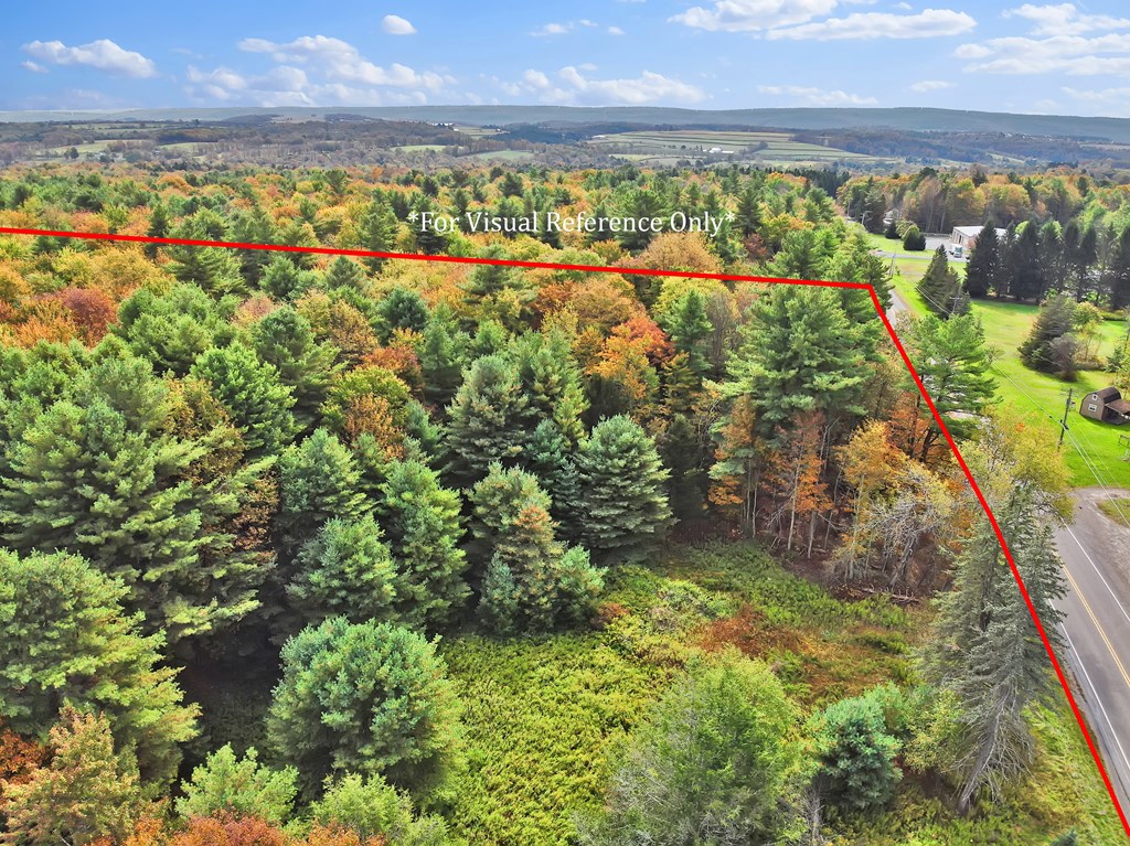 828 Bloss Mountain Road