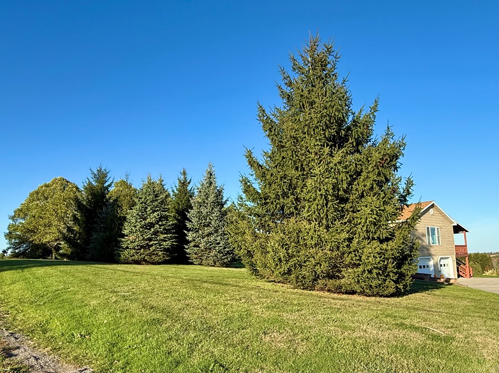 1525 Dutch Hill Road